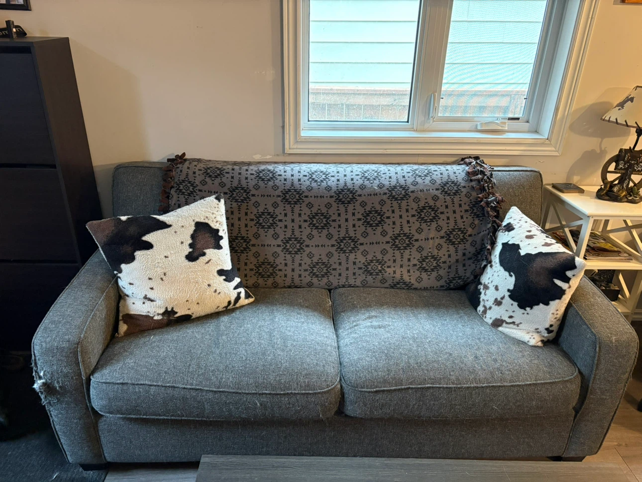 Pull out couch