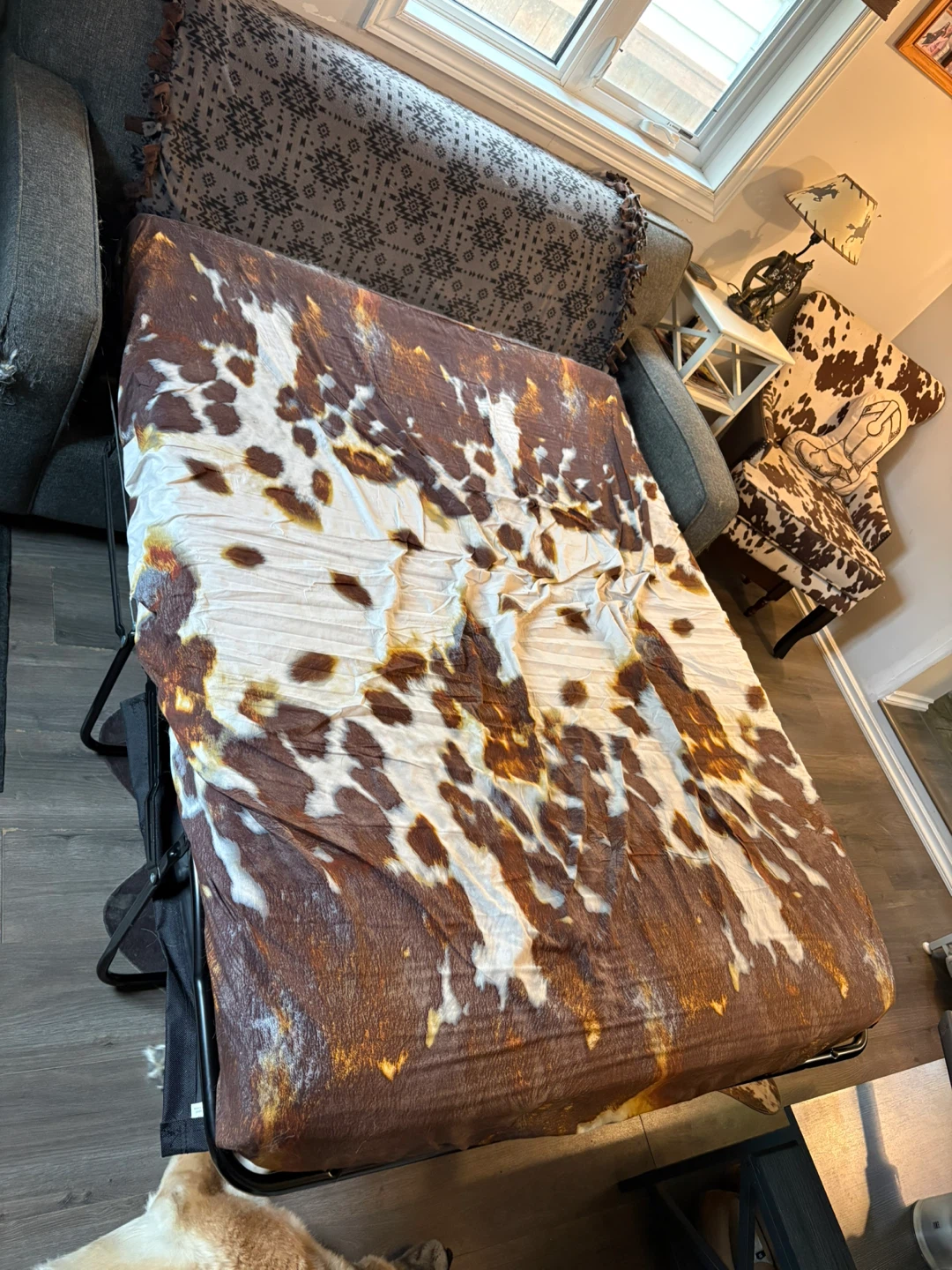 Pull out couch - photo 2