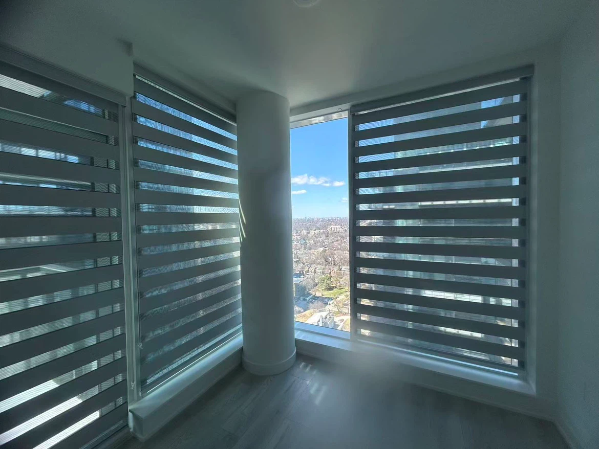 Zebra Blinds for Windows - photo 4