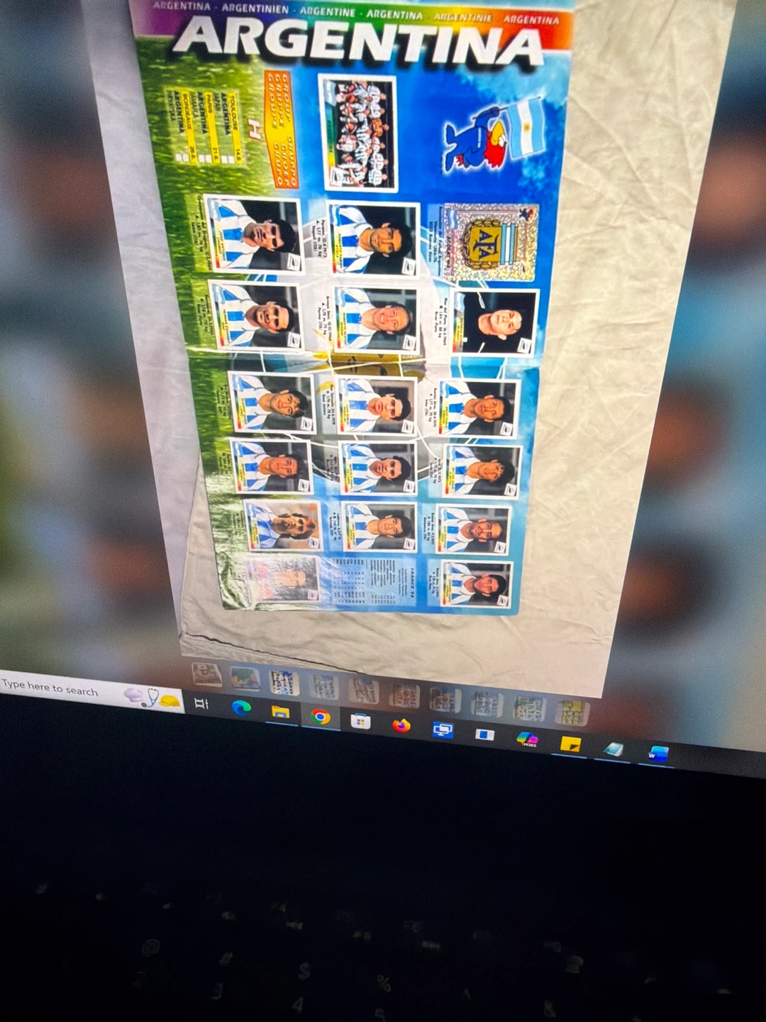 Panini France 98 World Cup Sticker Album - photo 3
