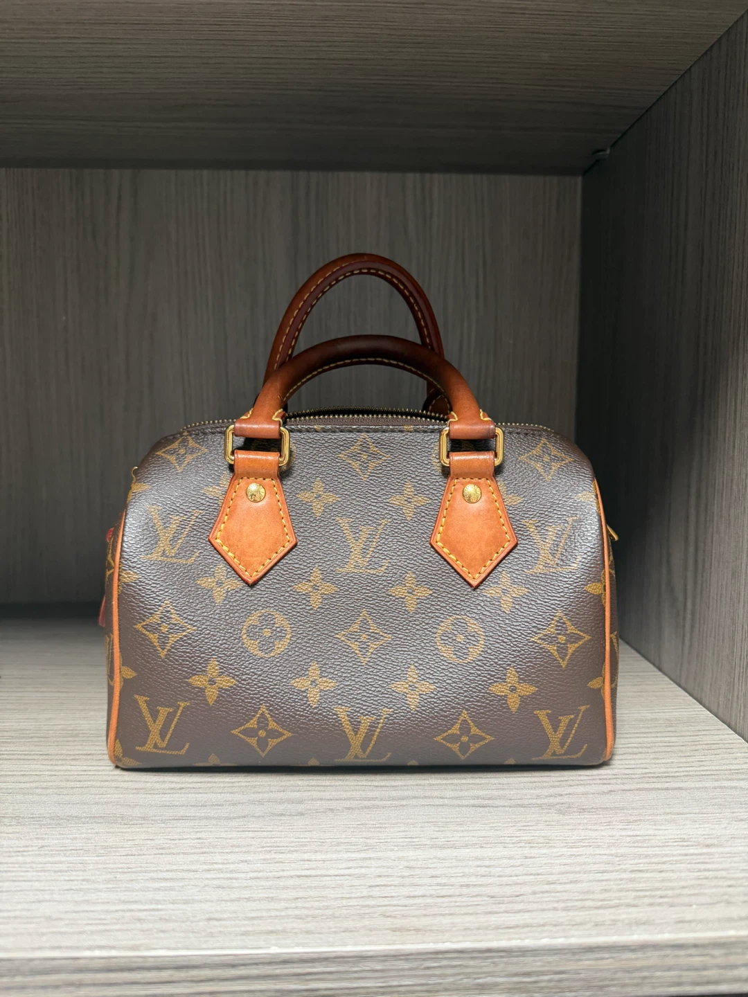 Louis Vuitton Monogram Speedy 20 Handbag