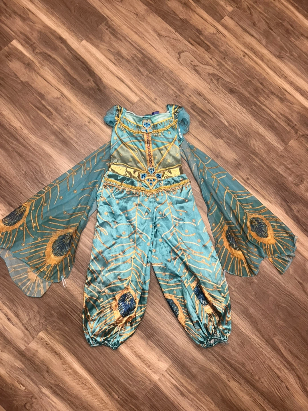 Halloween Disney Princess Jasmine Costume