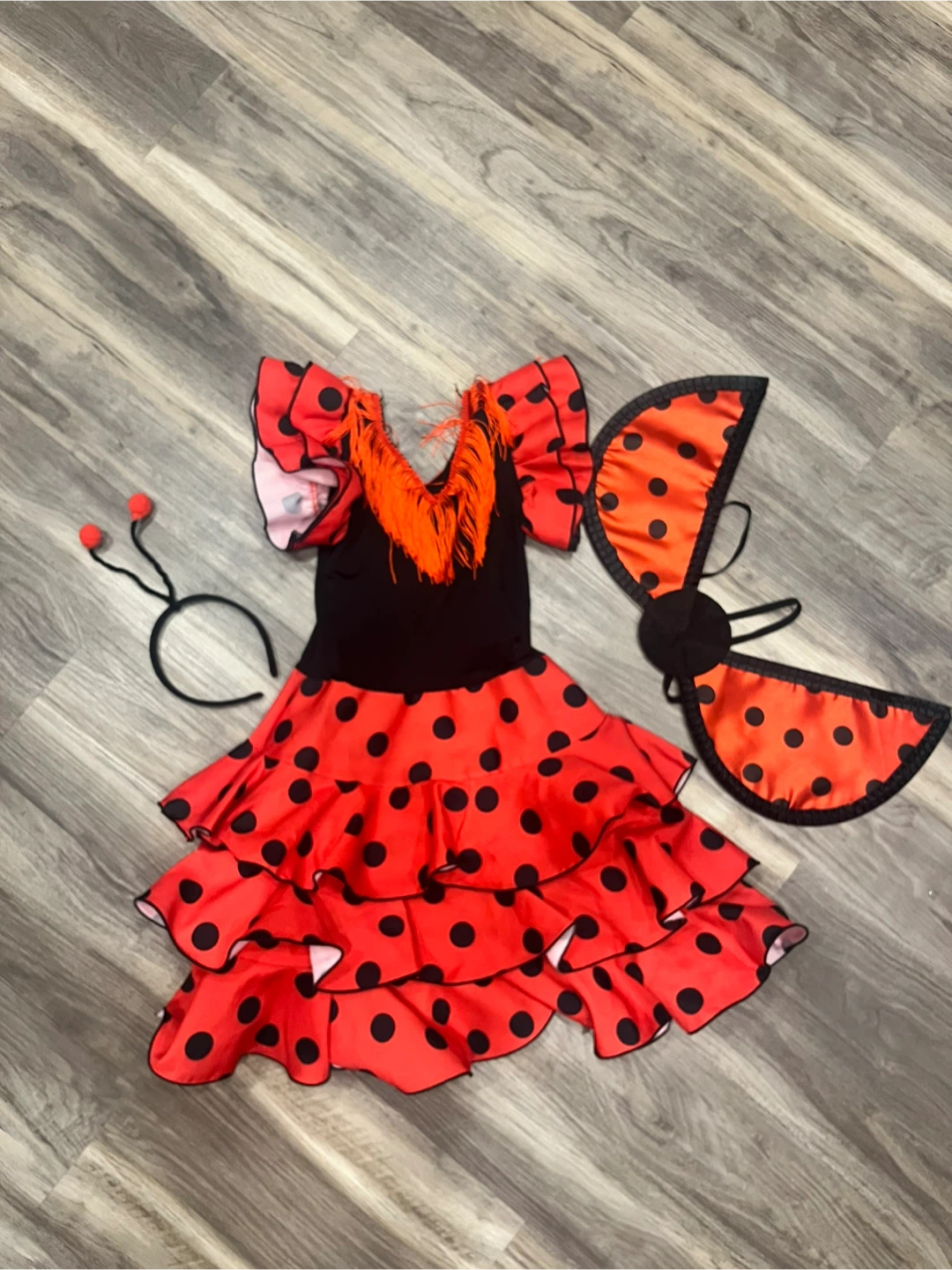 Halloween Ladybug costume for children