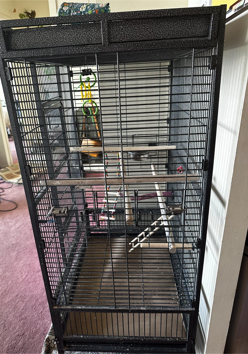 Large Black Metal Bird Cage - photo 3