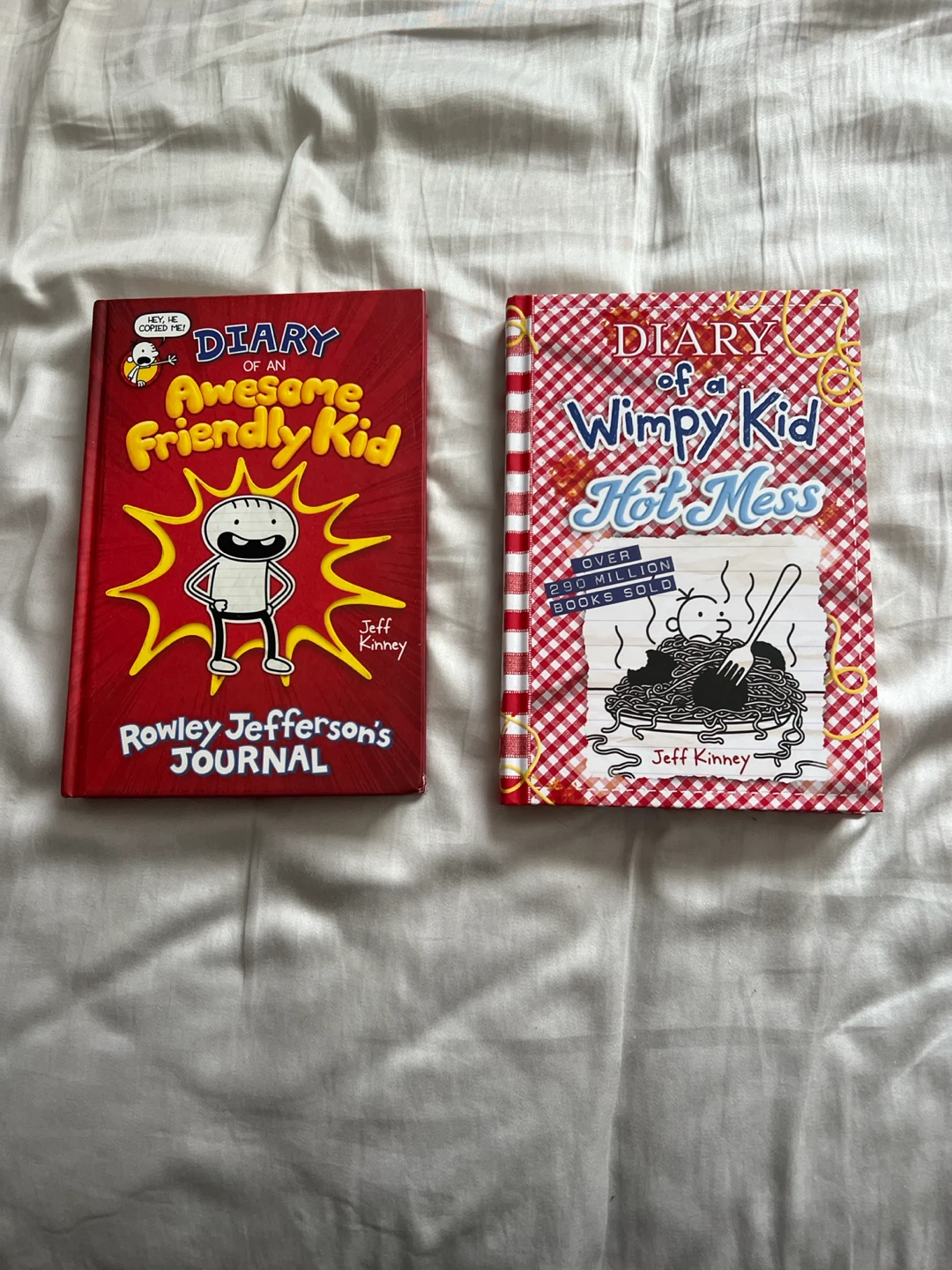 Diary of an Awesome Friendly Kid and Hot Mess books