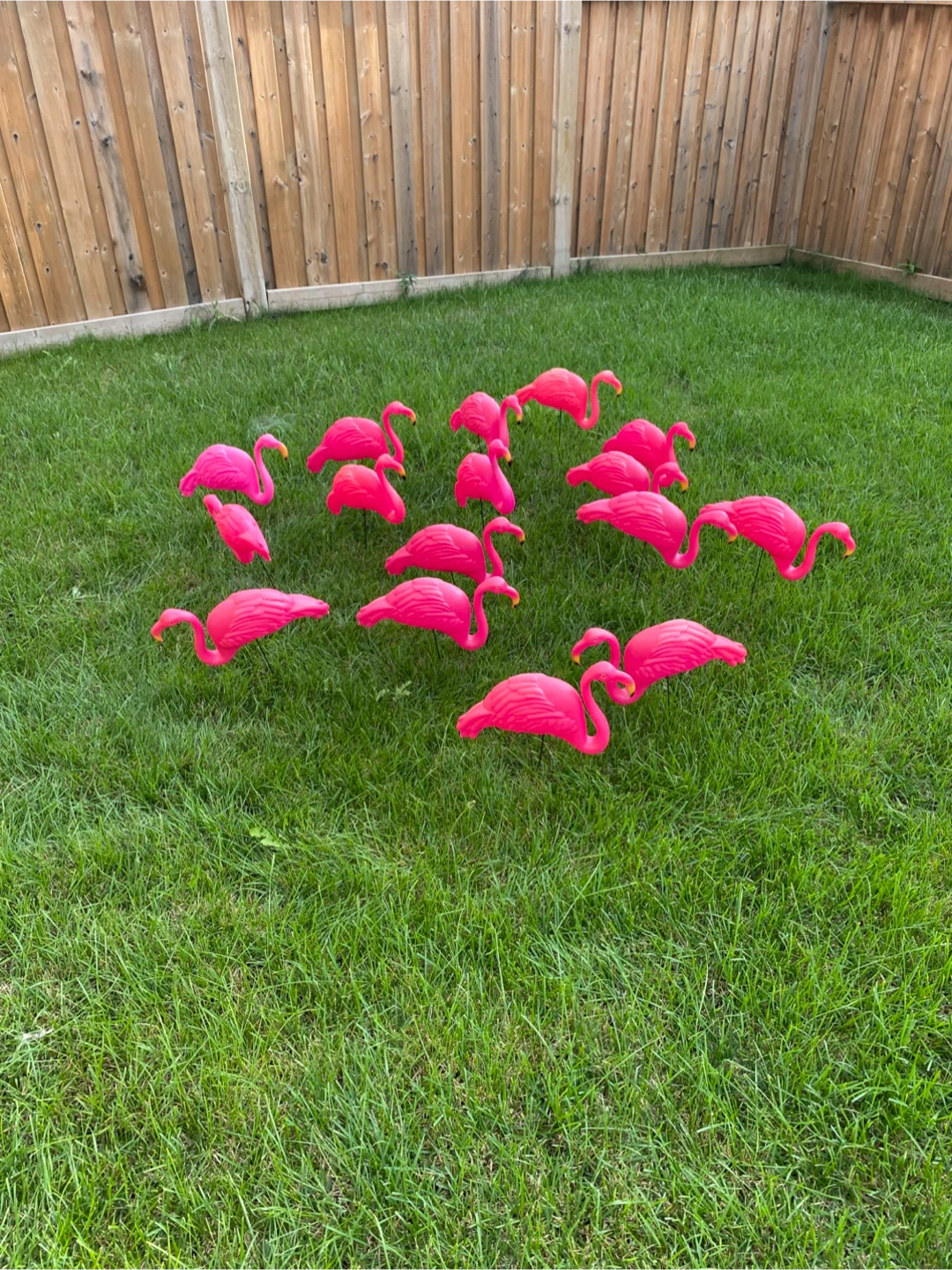 Plastic Pink Flamingo Lawn Ornaments (16 pcs)