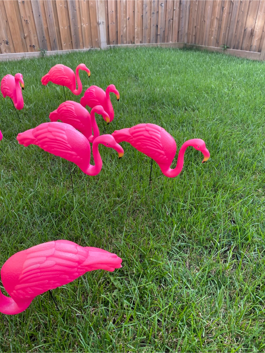 Plastic Pink Flamingo Lawn Ornaments (16 pcs) - photo 2