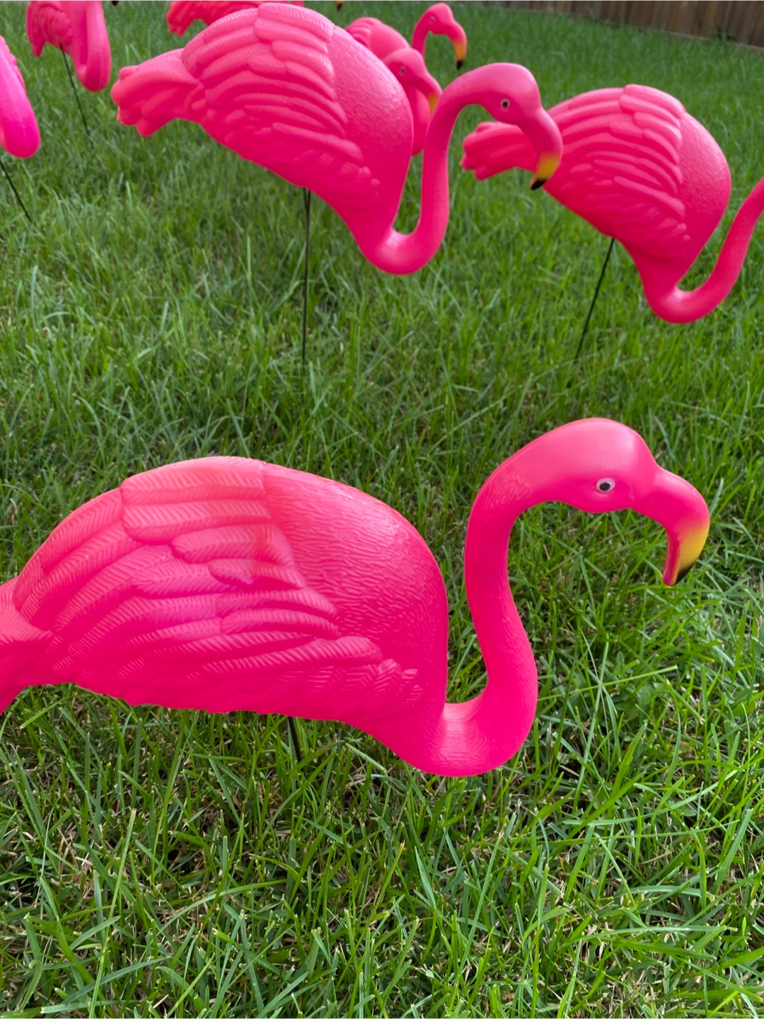 Plastic Pink Flamingo Lawn Ornaments (16 pcs) - photo 3