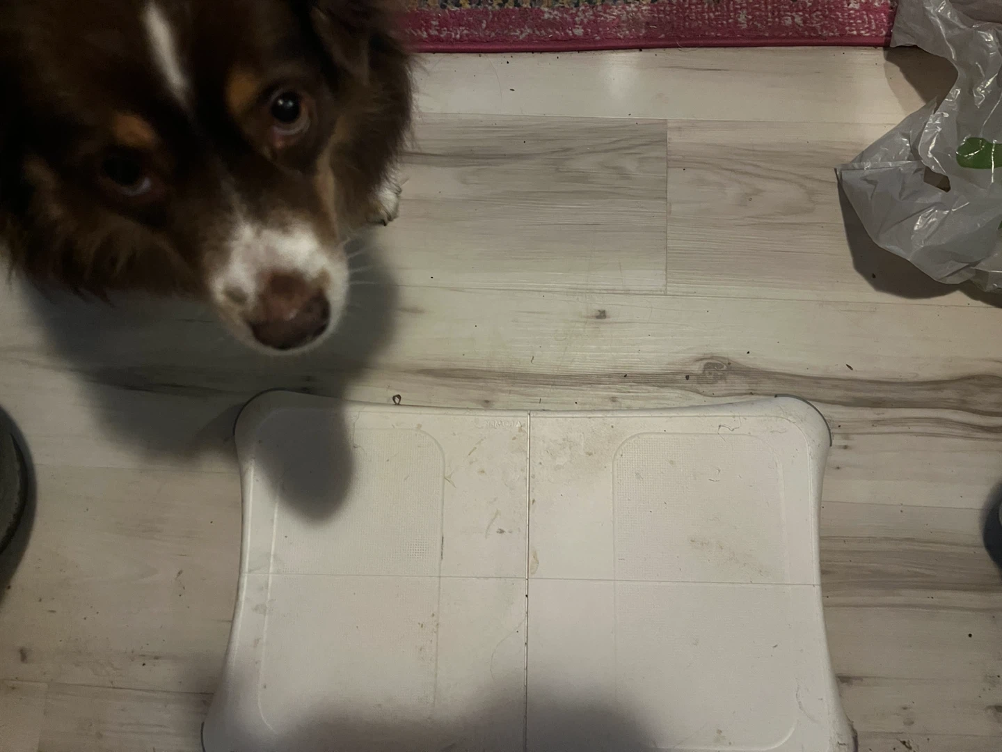Wii Balance Board