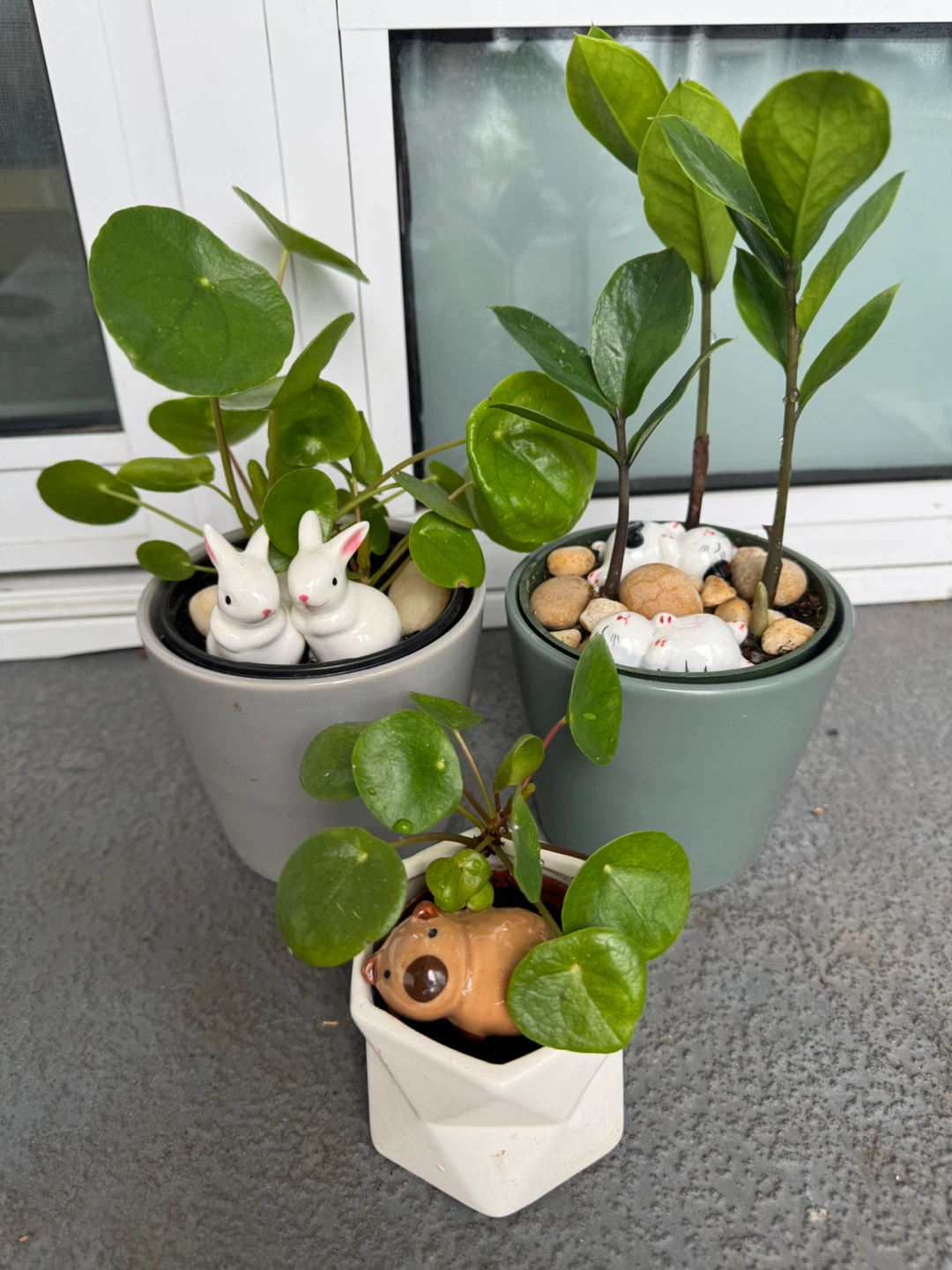 Three Potted Plants with Decorative Ceramic Figures