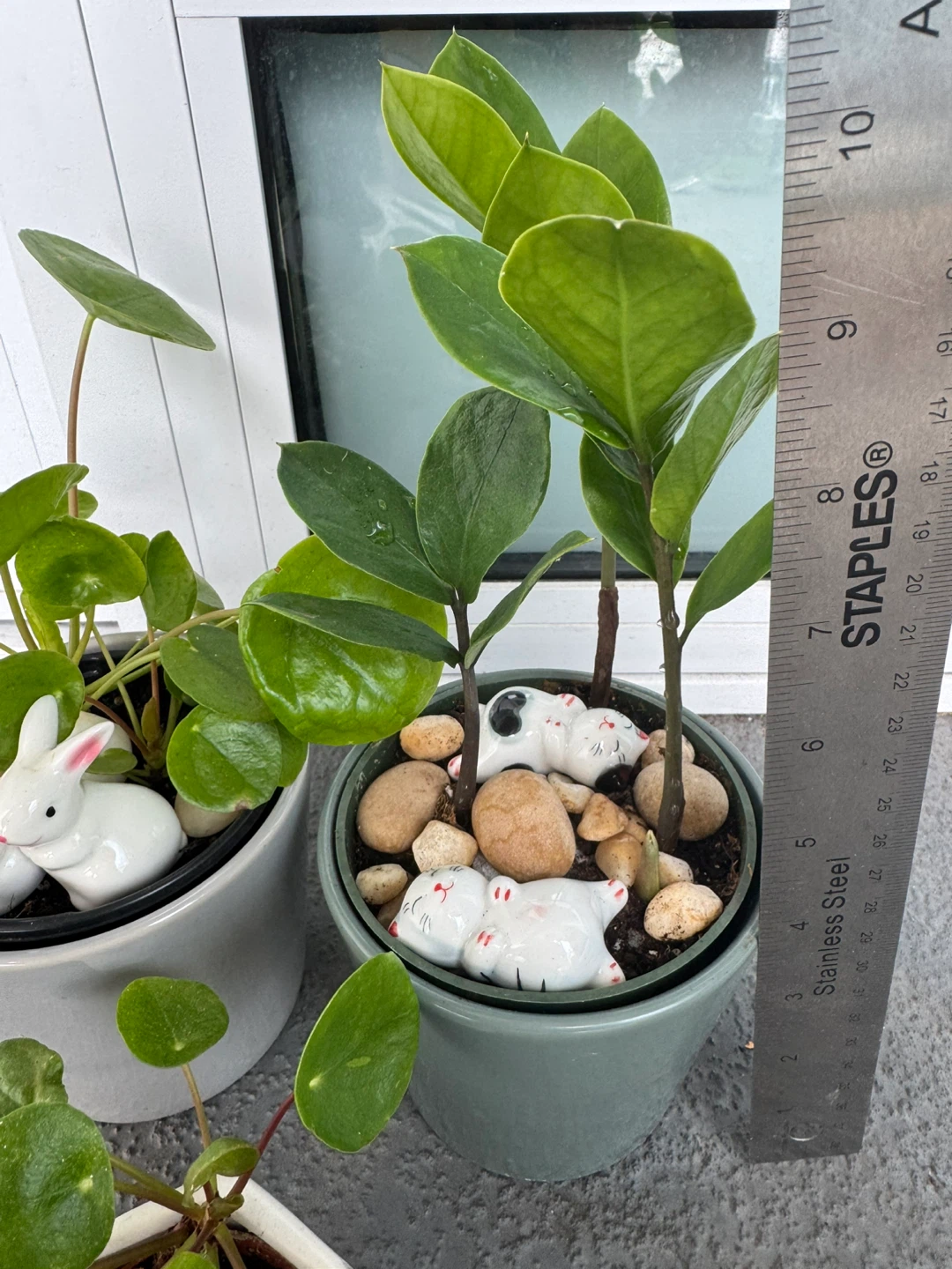 Three Potted Plants with Decorative Ceramic Figures - photo 2