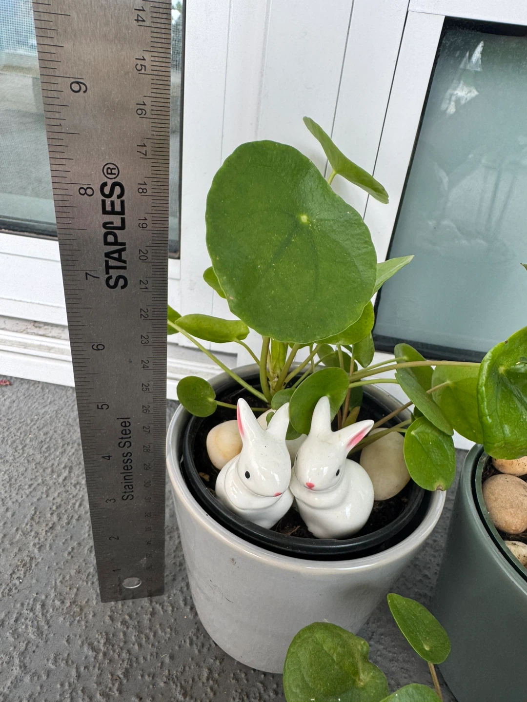 Three Potted Plants with Decorative Ceramic Figures - photo 3