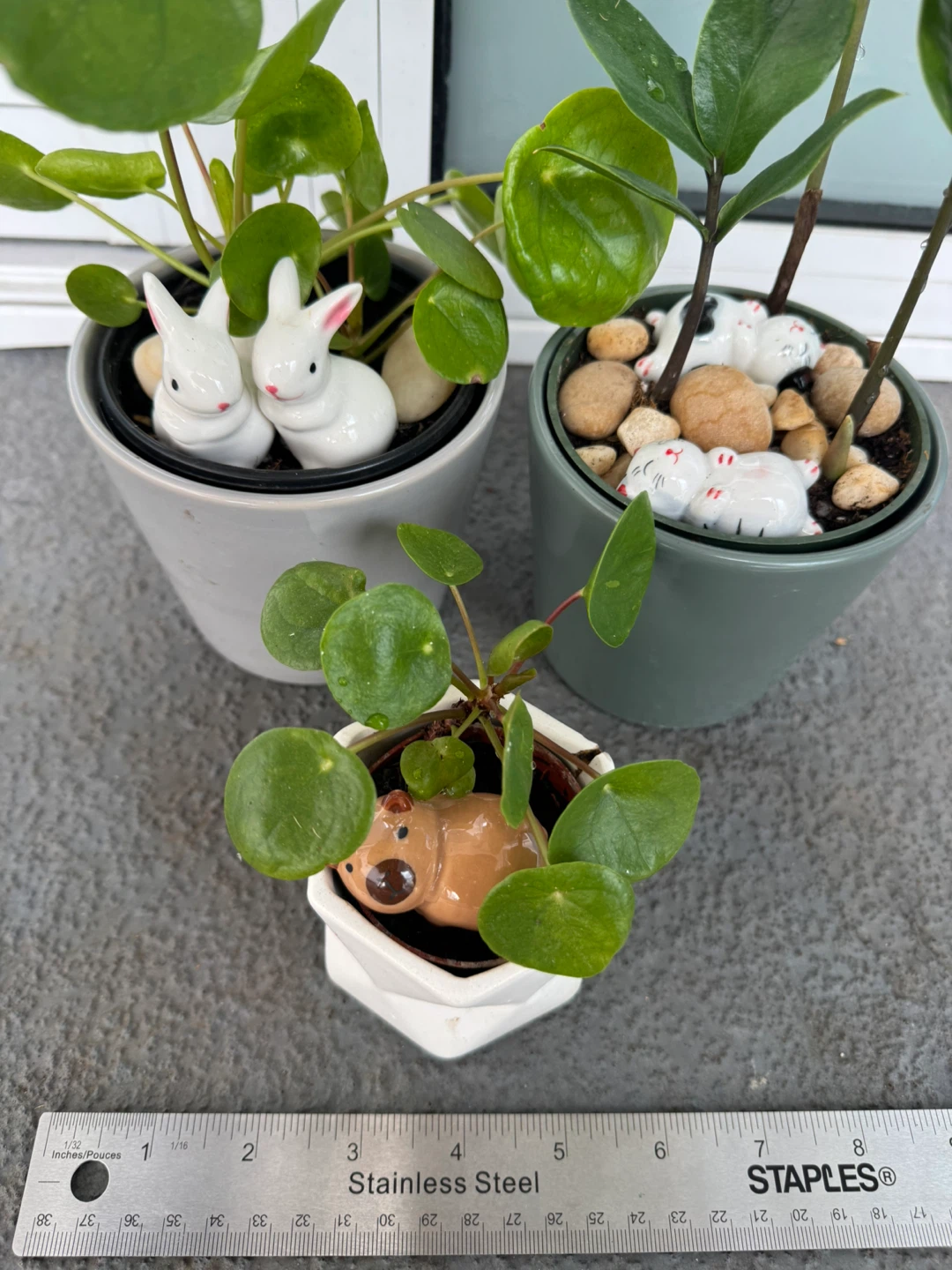 Three Potted Plants with Decorative Ceramic Figures - photo 5