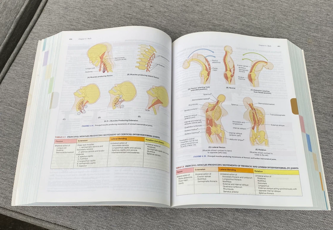 Moore Clinically Oriented Anatomy - 7th Edition - photo 5