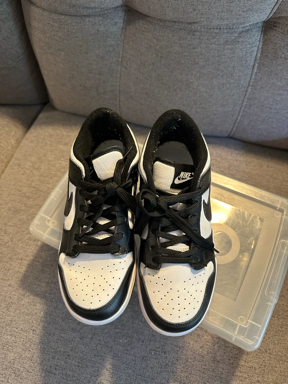 Nike Dunk Low Black and White