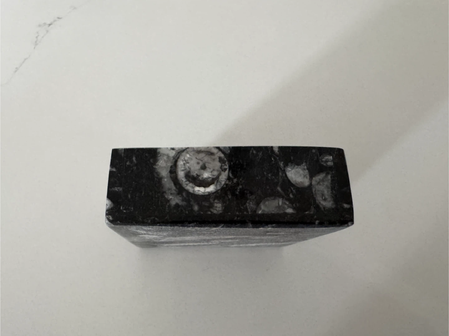 Specimen Moroccan Fossils Trinket Box - photo 4
