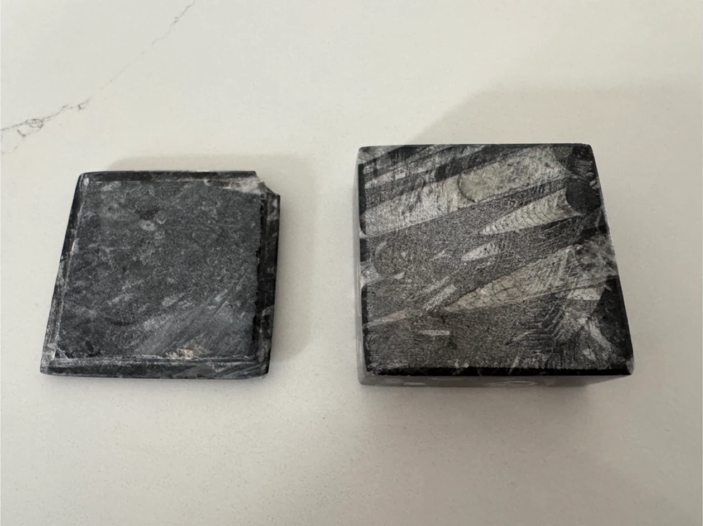 Specimen Moroccan Fossils Trinket Box - photo 3