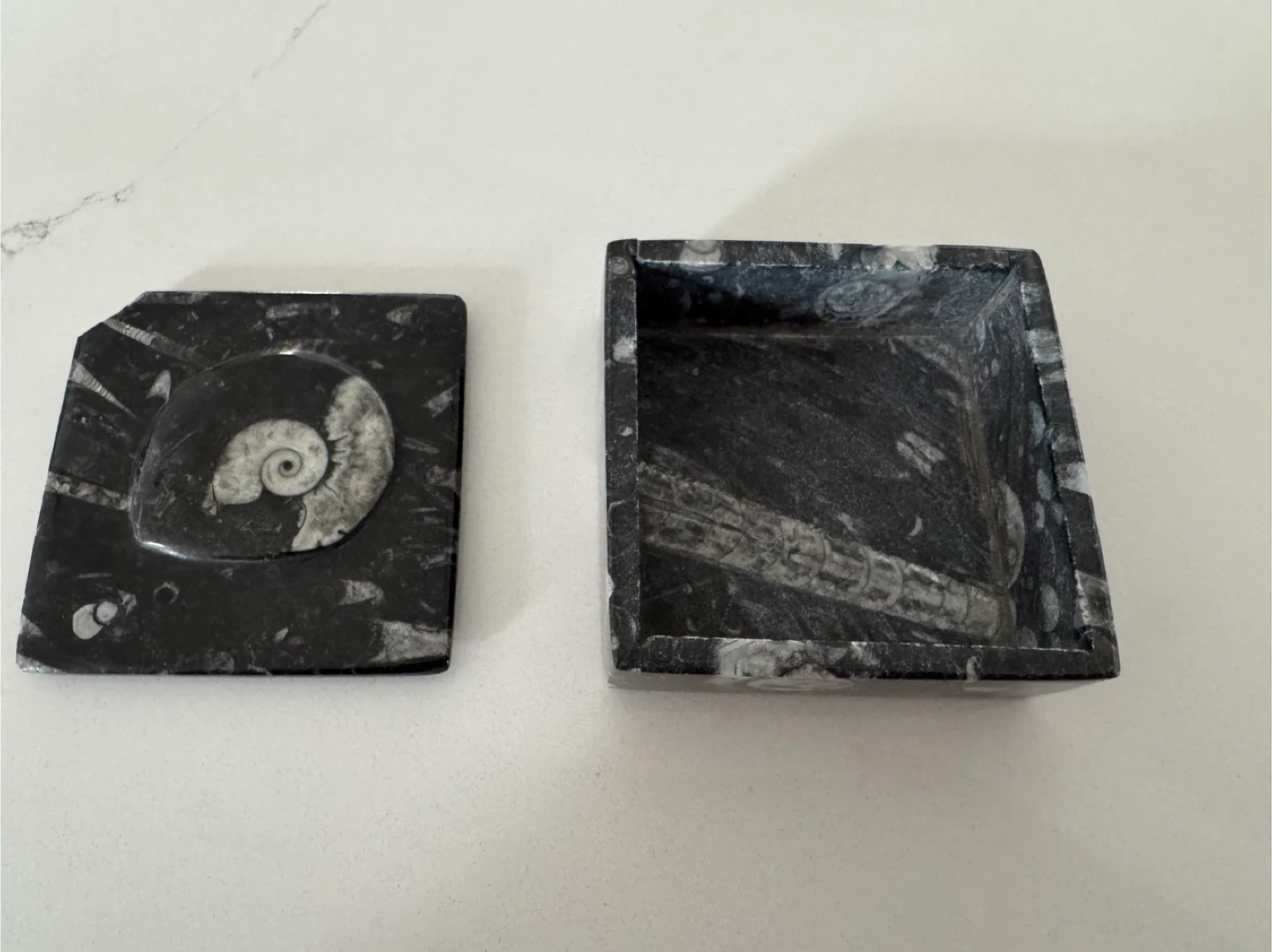 Specimen Moroccan Fossils Trinket Box - photo 2