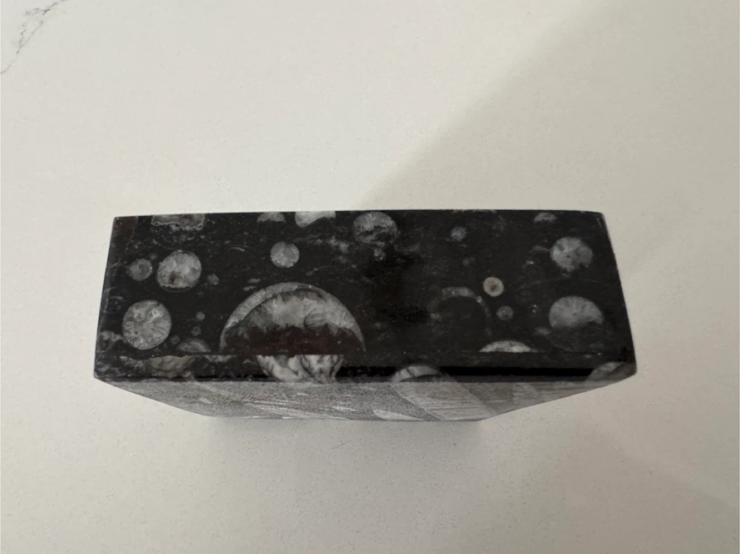 Specimen Moroccan Fossils Trinket Box - photo 5
