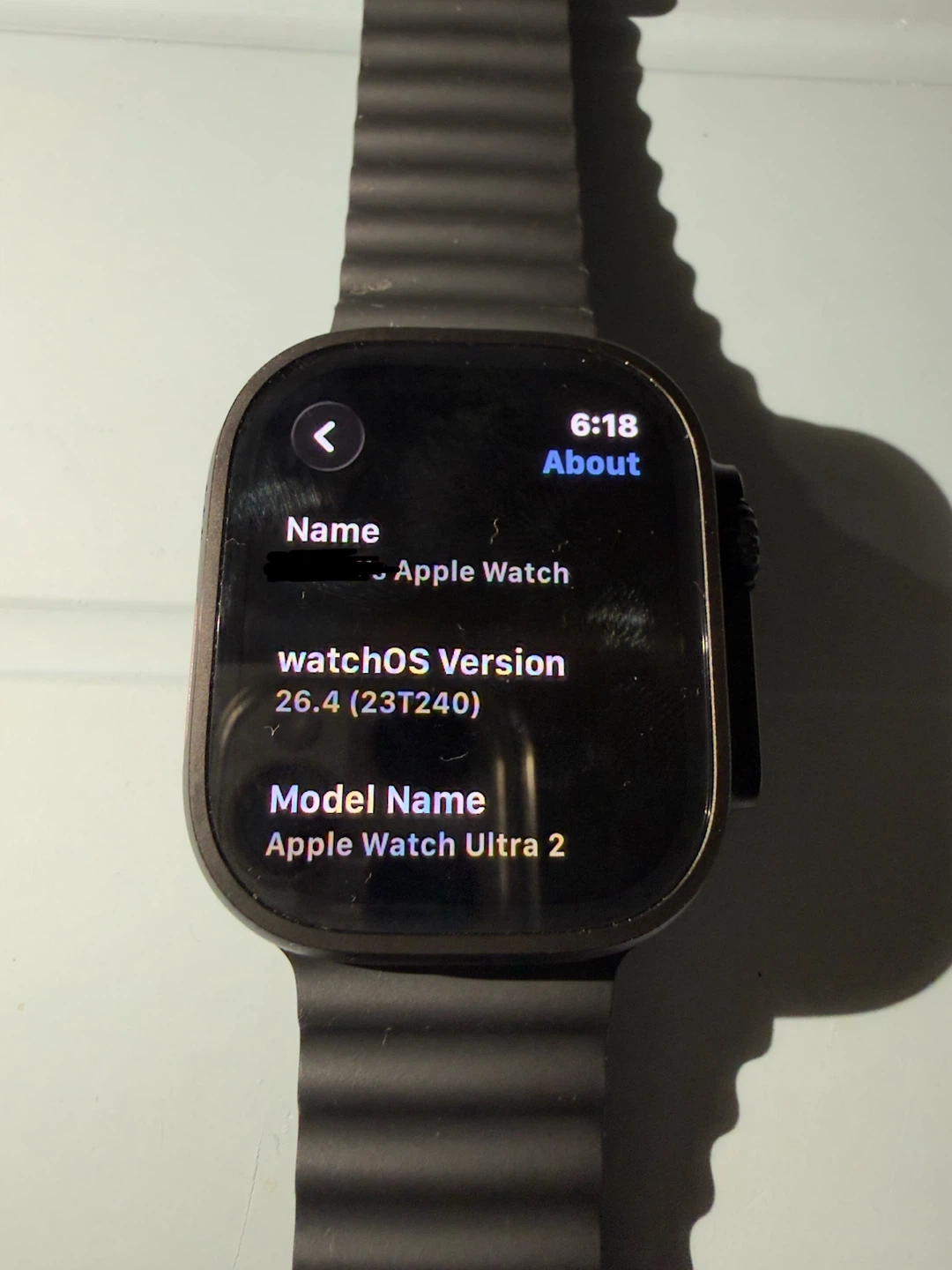 Apple Watch Ultra 2 - photo 2