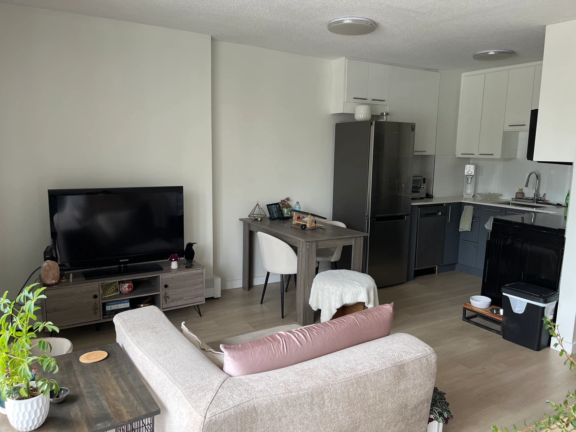 Lease takeover - West End (pet friendly)