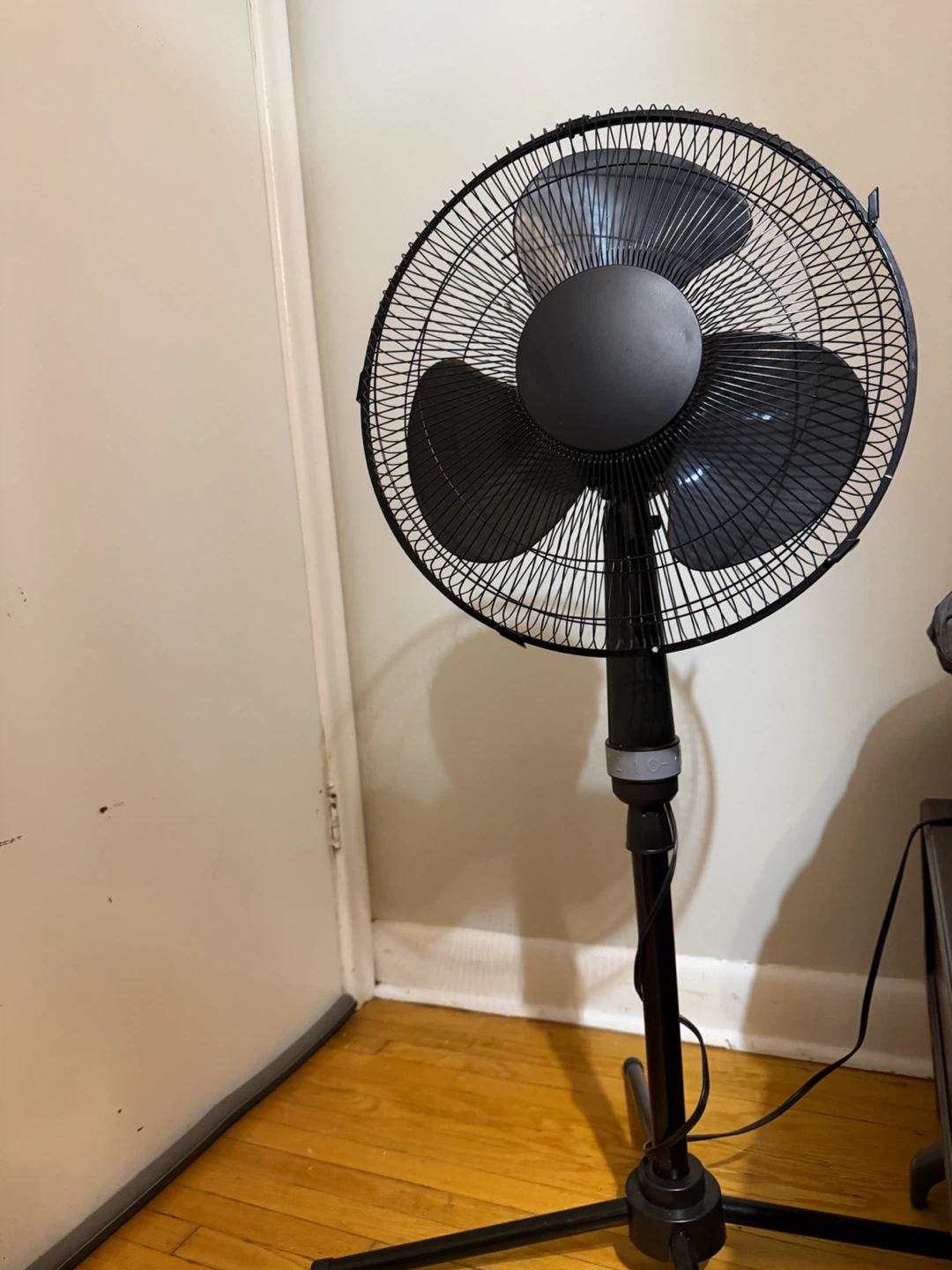 Black Standing Fan