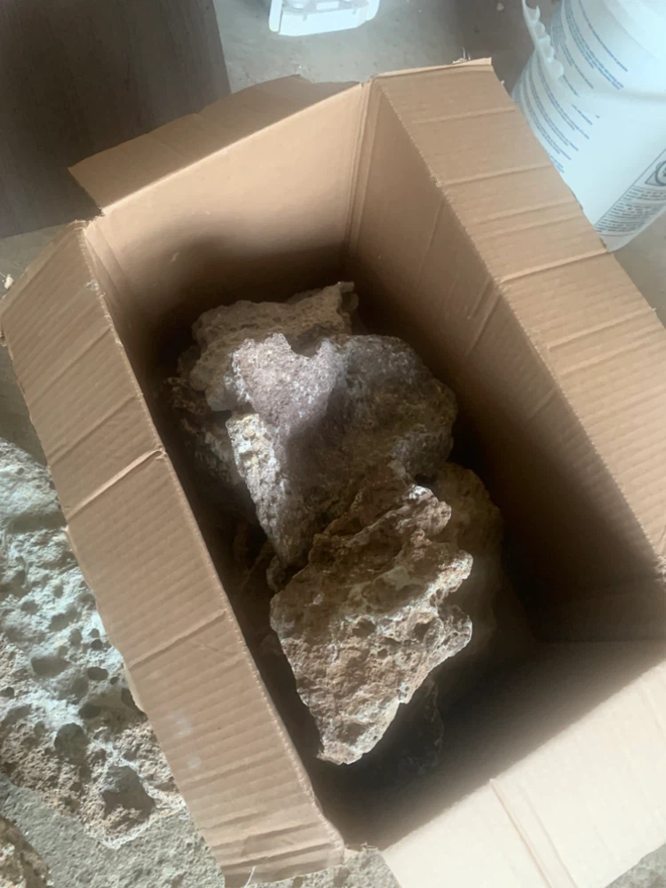 Assorted Aquarium Rocks