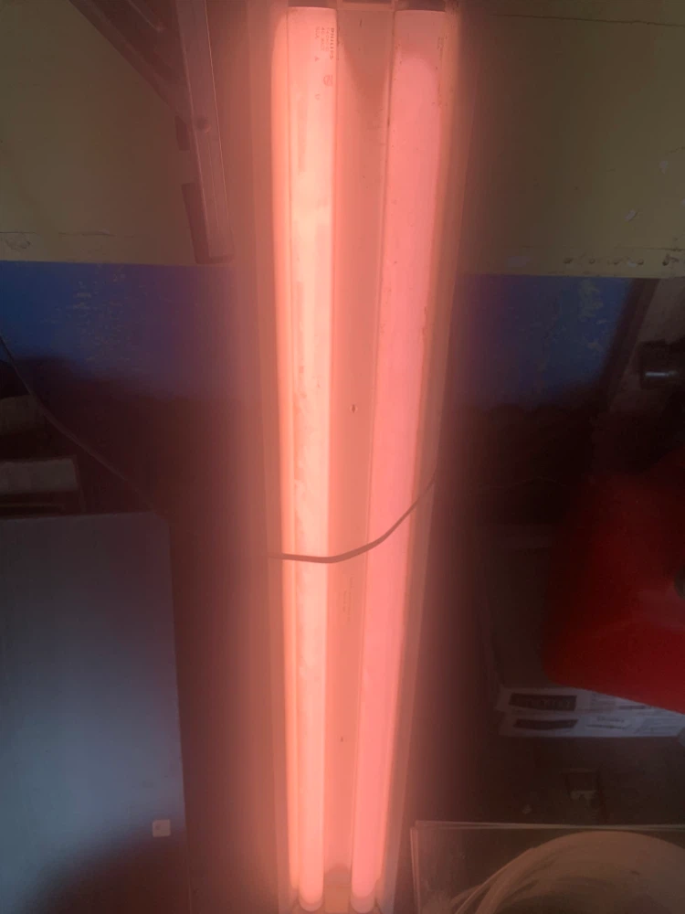 Portable Fluorescent Lamp - photo 3