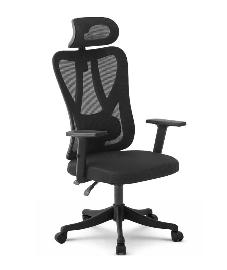 Ergonomic Office Chair