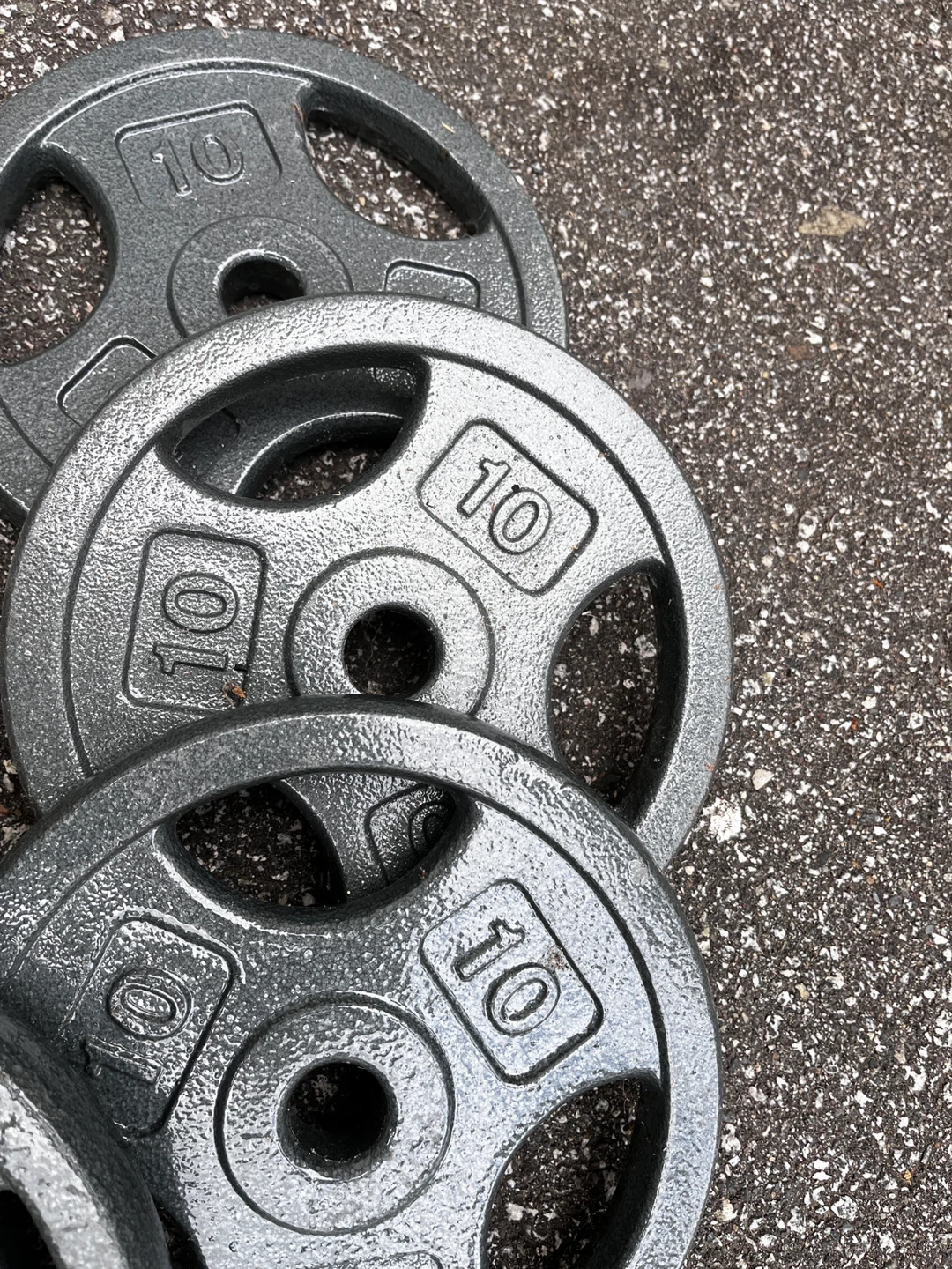 Four 10lb Cast Iron Weight Plates - photo 3