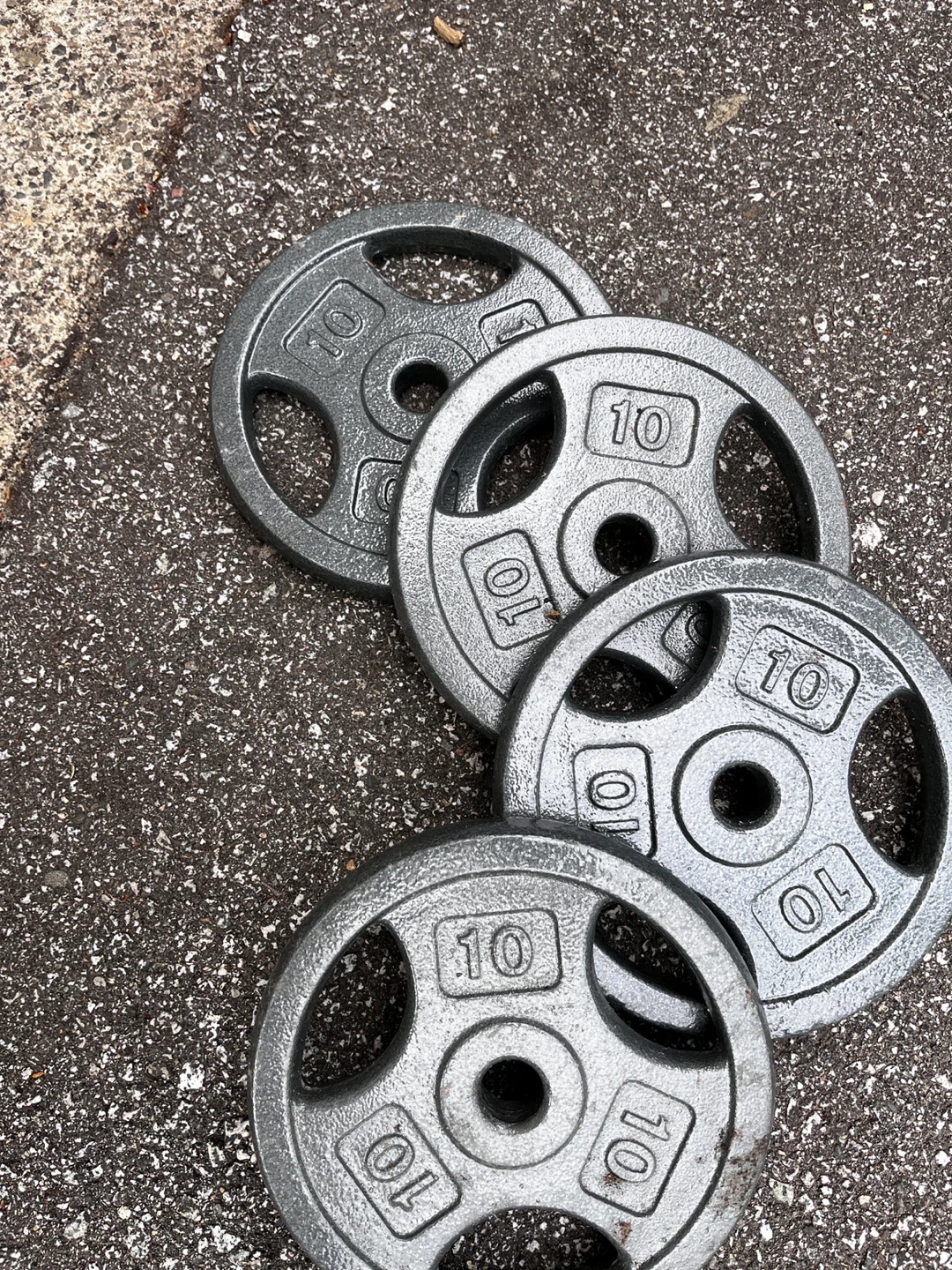 Four 10lb Cast Iron Weight Plates - photo 2