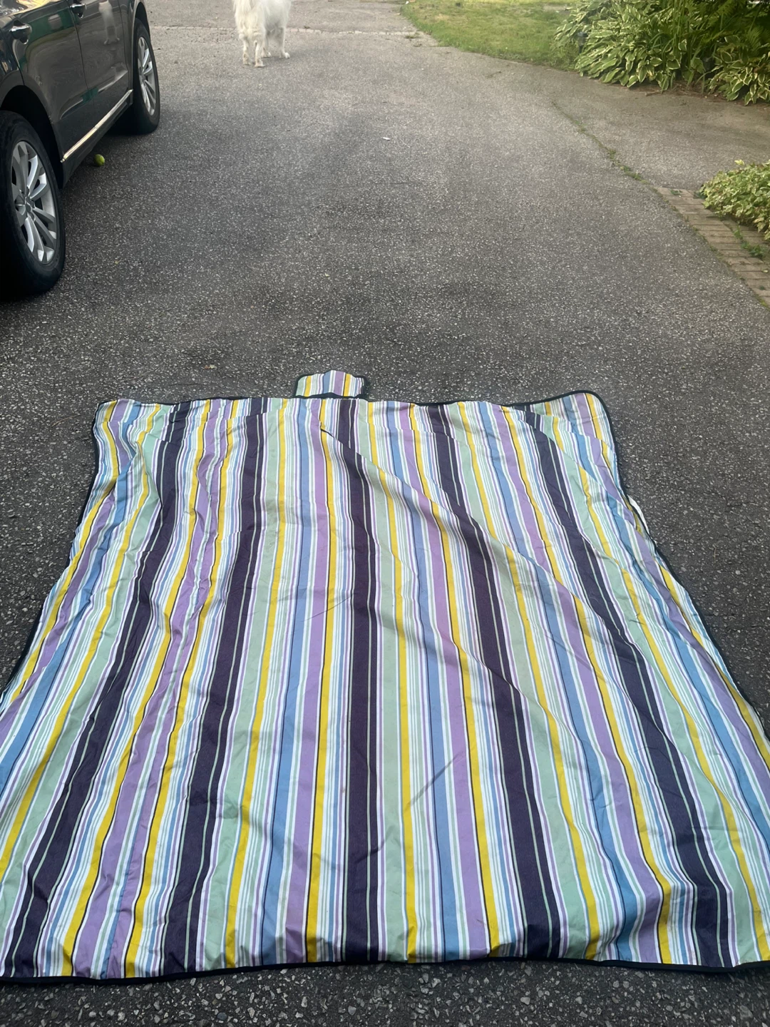 Two picnic mats
