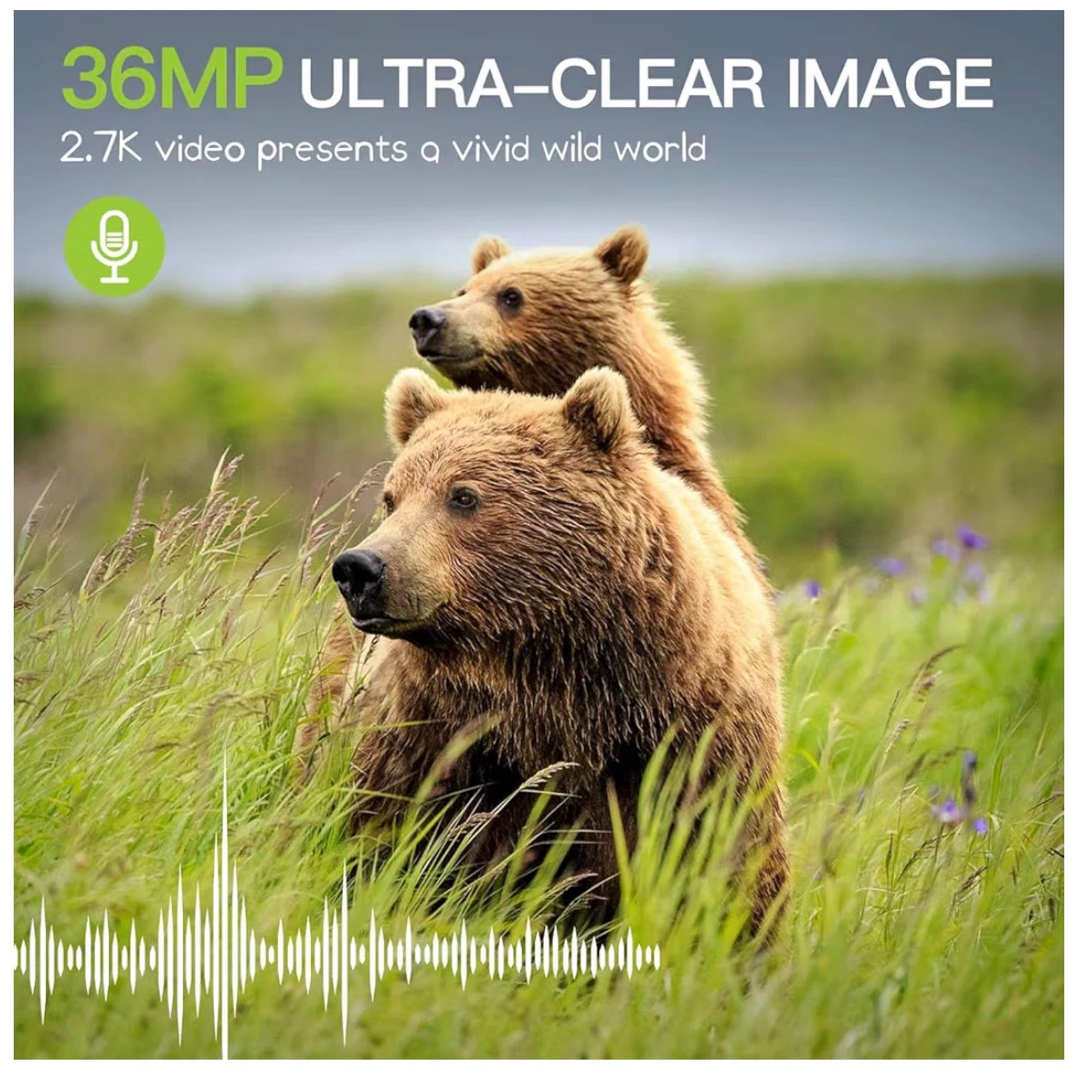 Punvoe Trail Camera 2 Pack 1080P Game Camera - photo 3