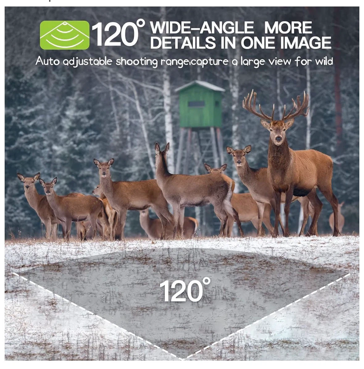 Punvoe Trail Camera 2 Pack 1080P Game Camera - photo 5