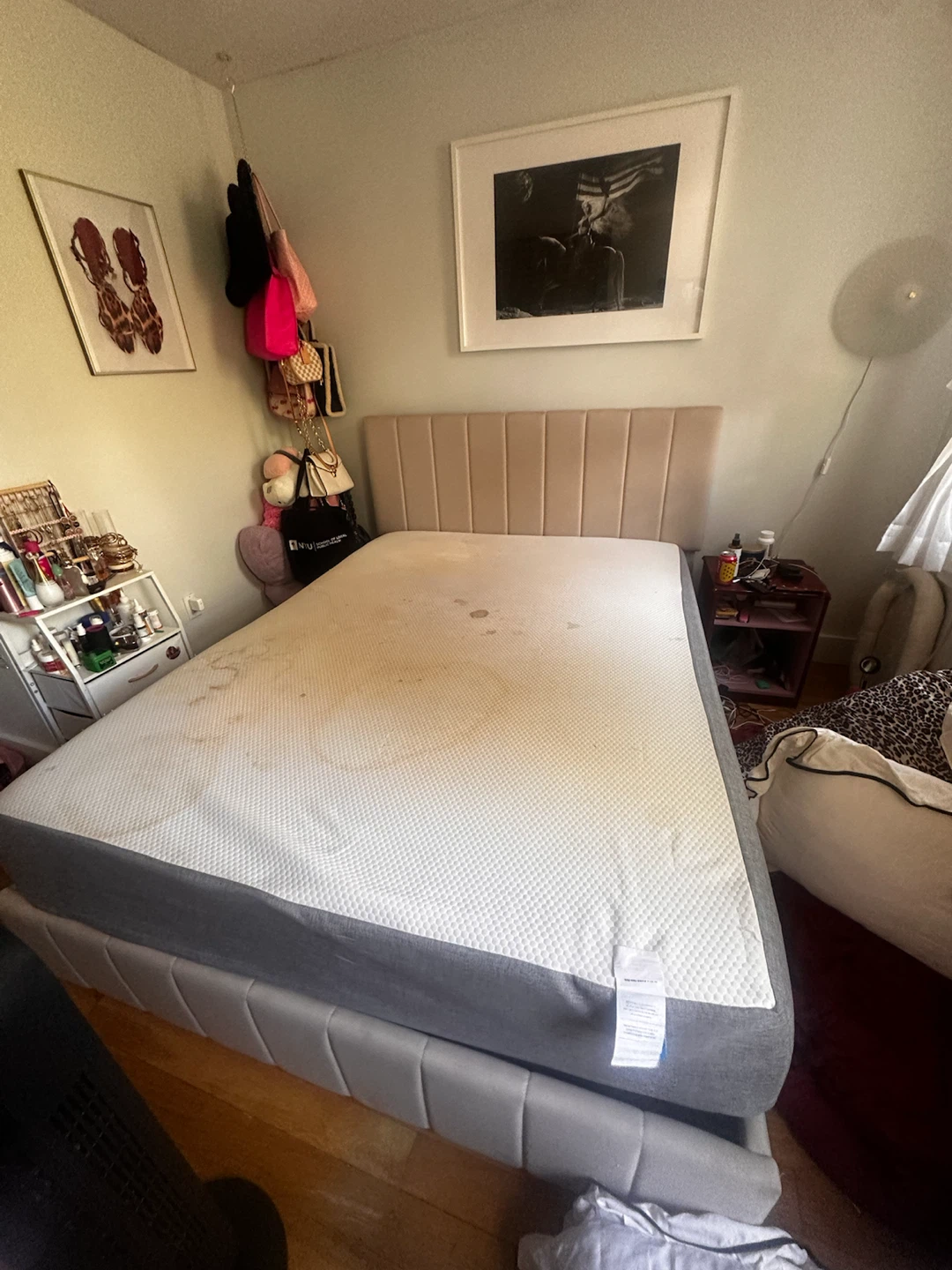 Queen Mattress