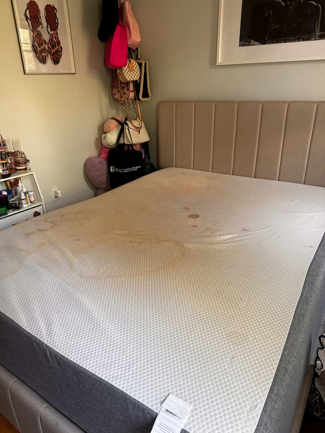 Queen Mattress - photo 3