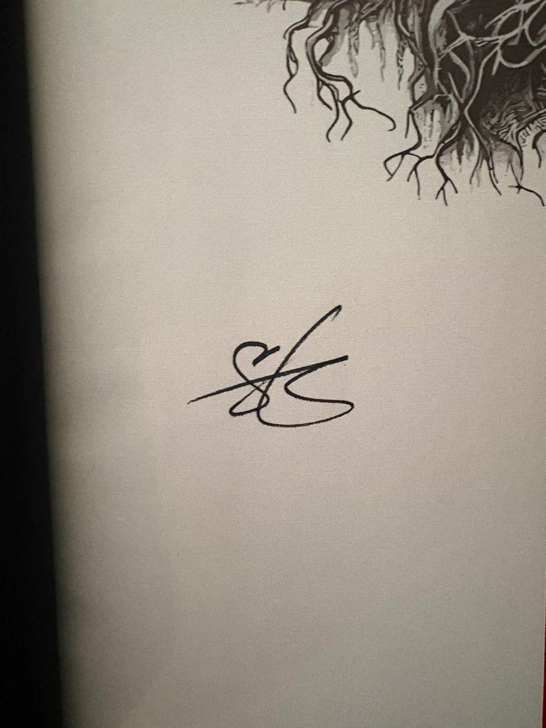 Signed V. E. Schwab - Bury our bones in the midnight soil - photo 2