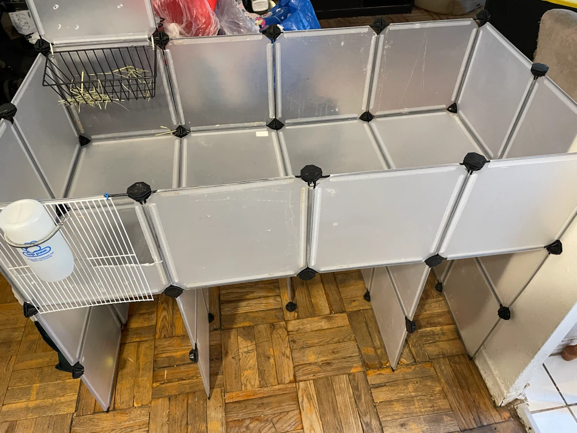 C&C Guinea Pig Cage