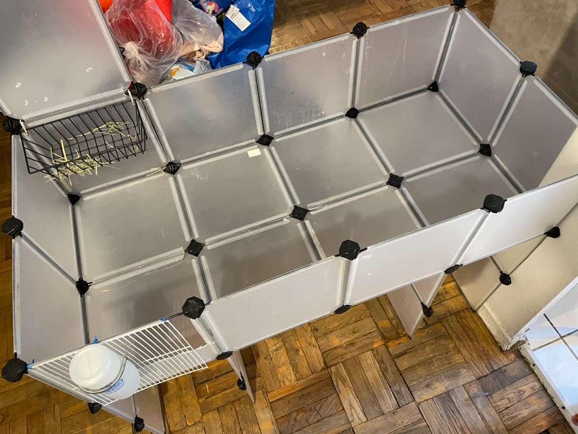 C&C Guinea Pig Cage - photo 2