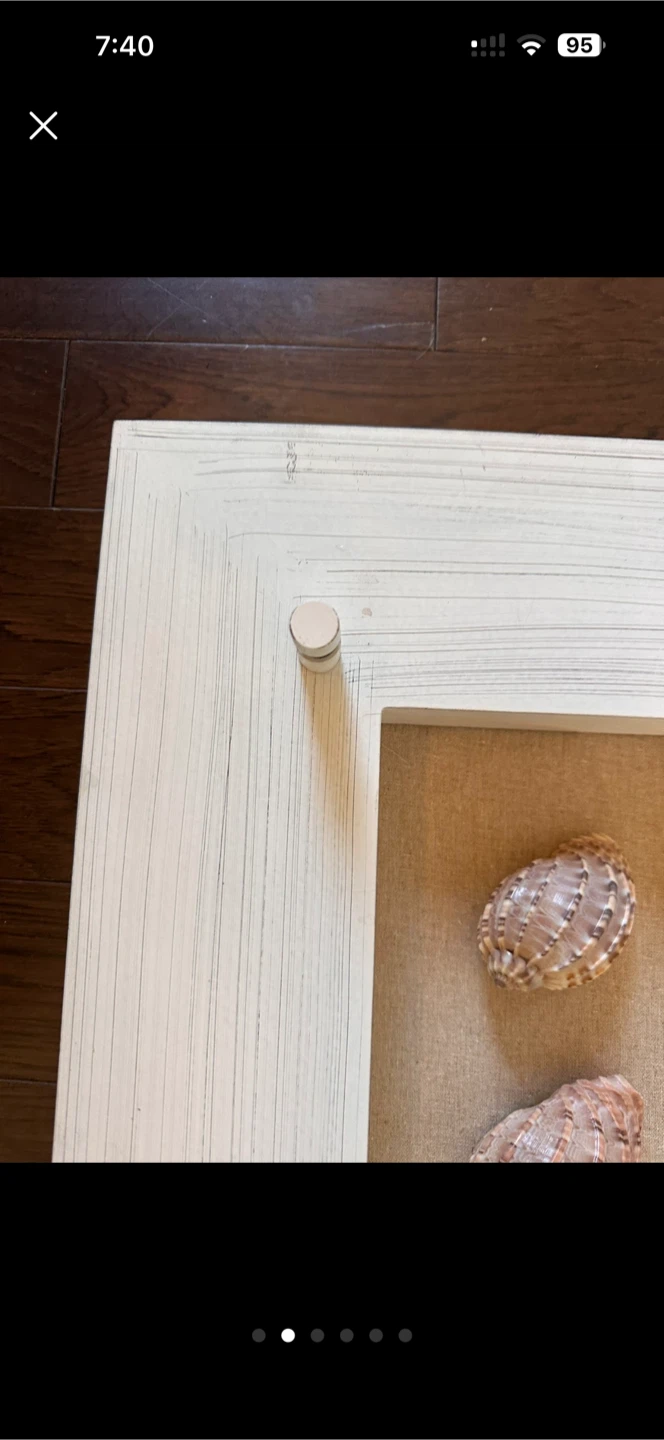 Decorative Shell Display Frame - photo 2