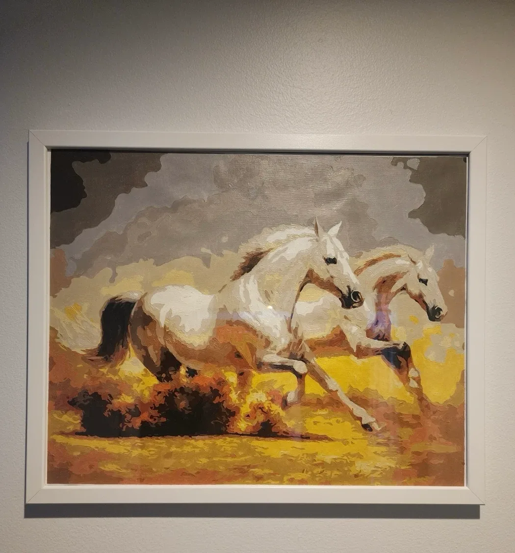 Framed Horse Paint by Number