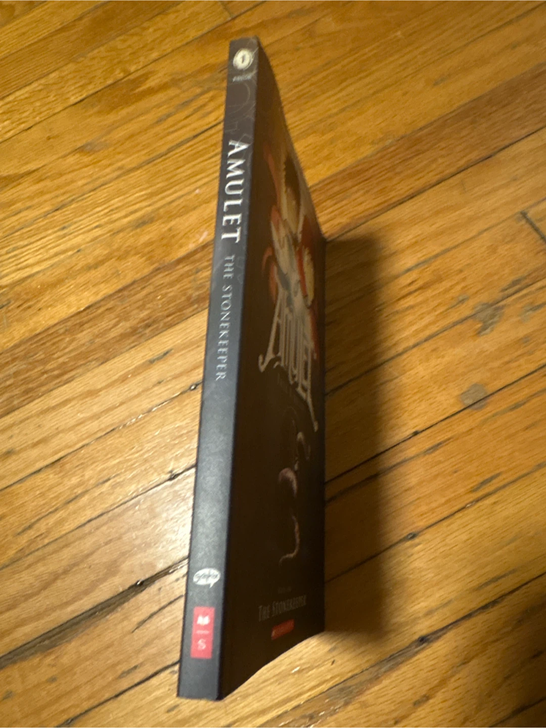 Amulet Book One: The Stonekeeper - photo 3