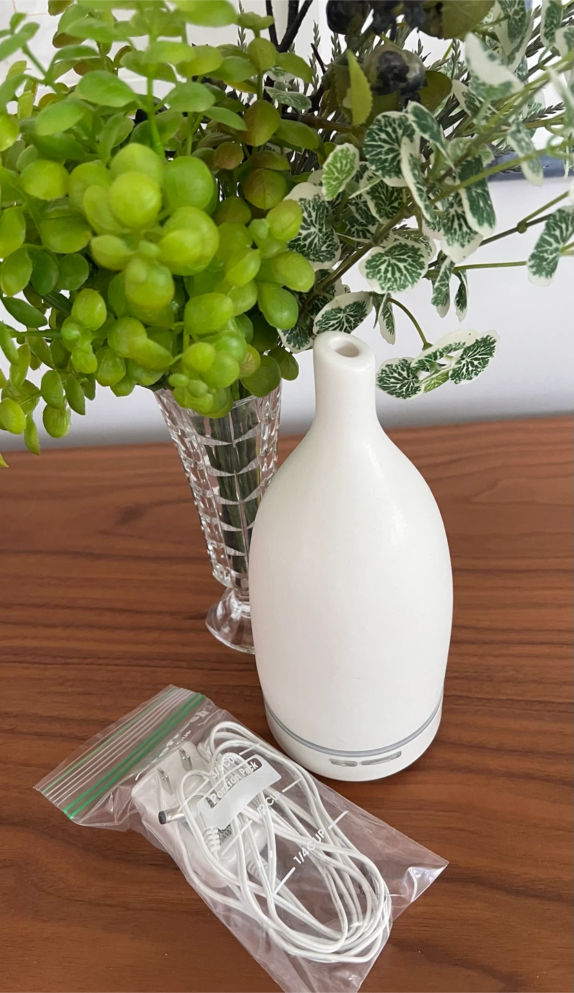 SAJE Aroma Om Ultrasonic Diffuser