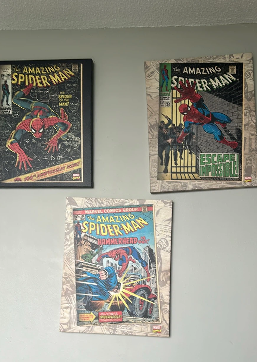 The Amazing Spider-Man Comic Wall Art Set