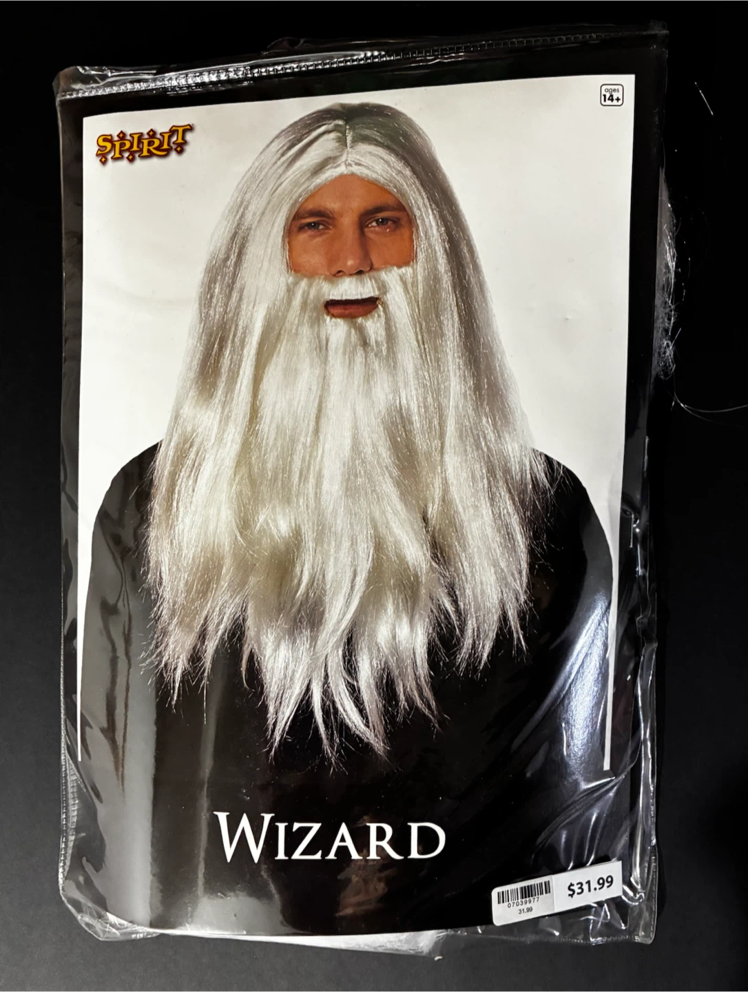 Spirit Wizard Costume Wig and Beard Set