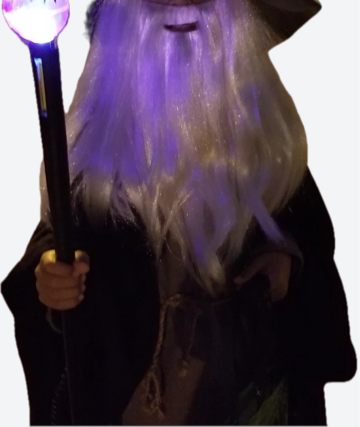 Spirit Wizard Costume Wig and Beard Set - photo 4