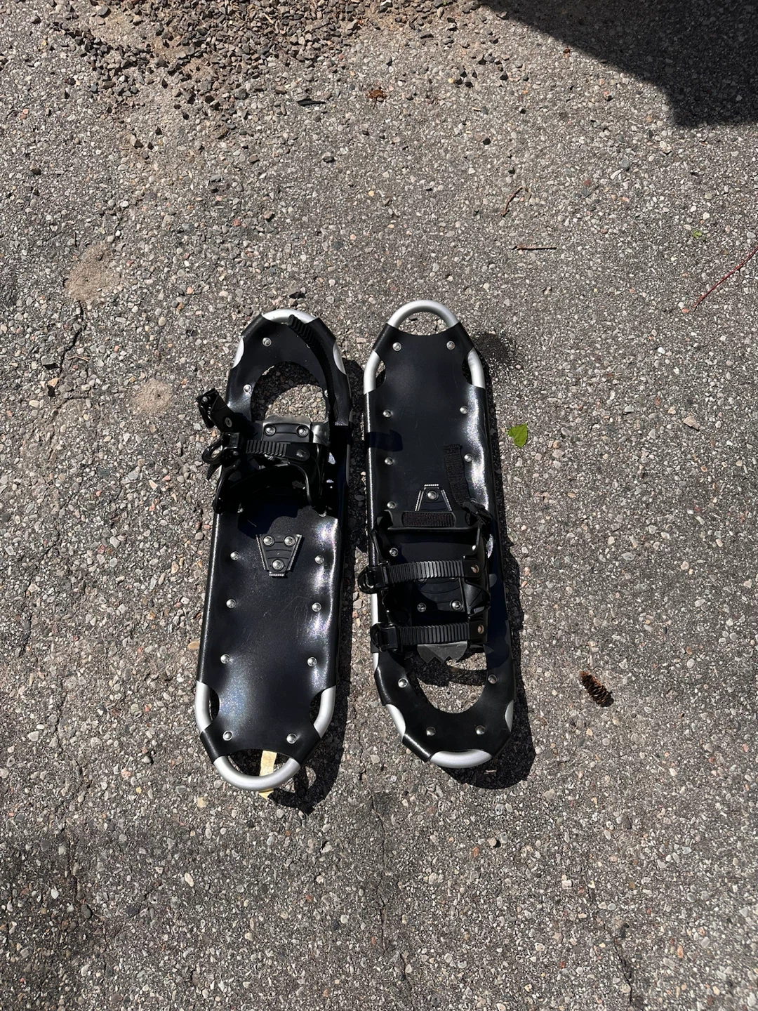 Black Snowshoes with Carrying Bag