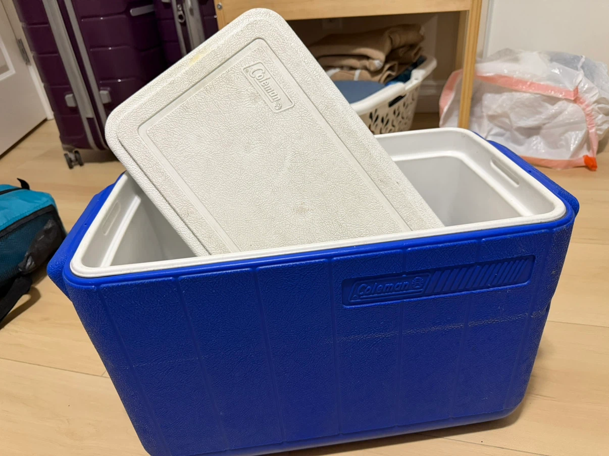 Coleman cooler