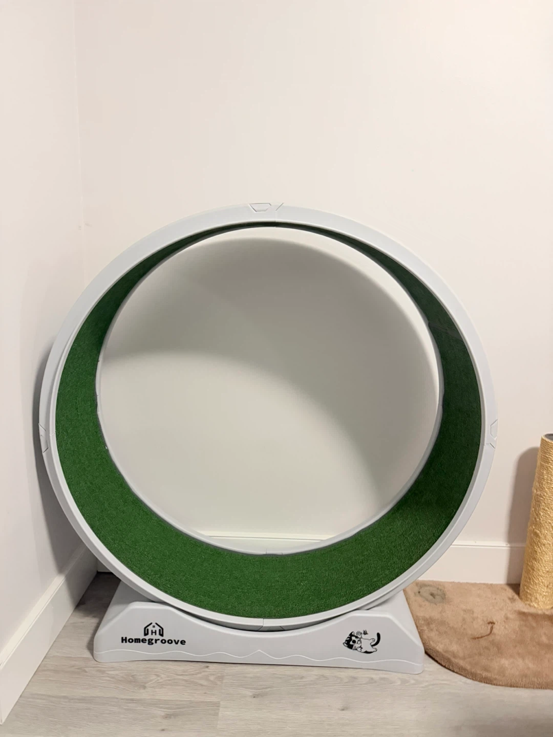 running wheel for cats