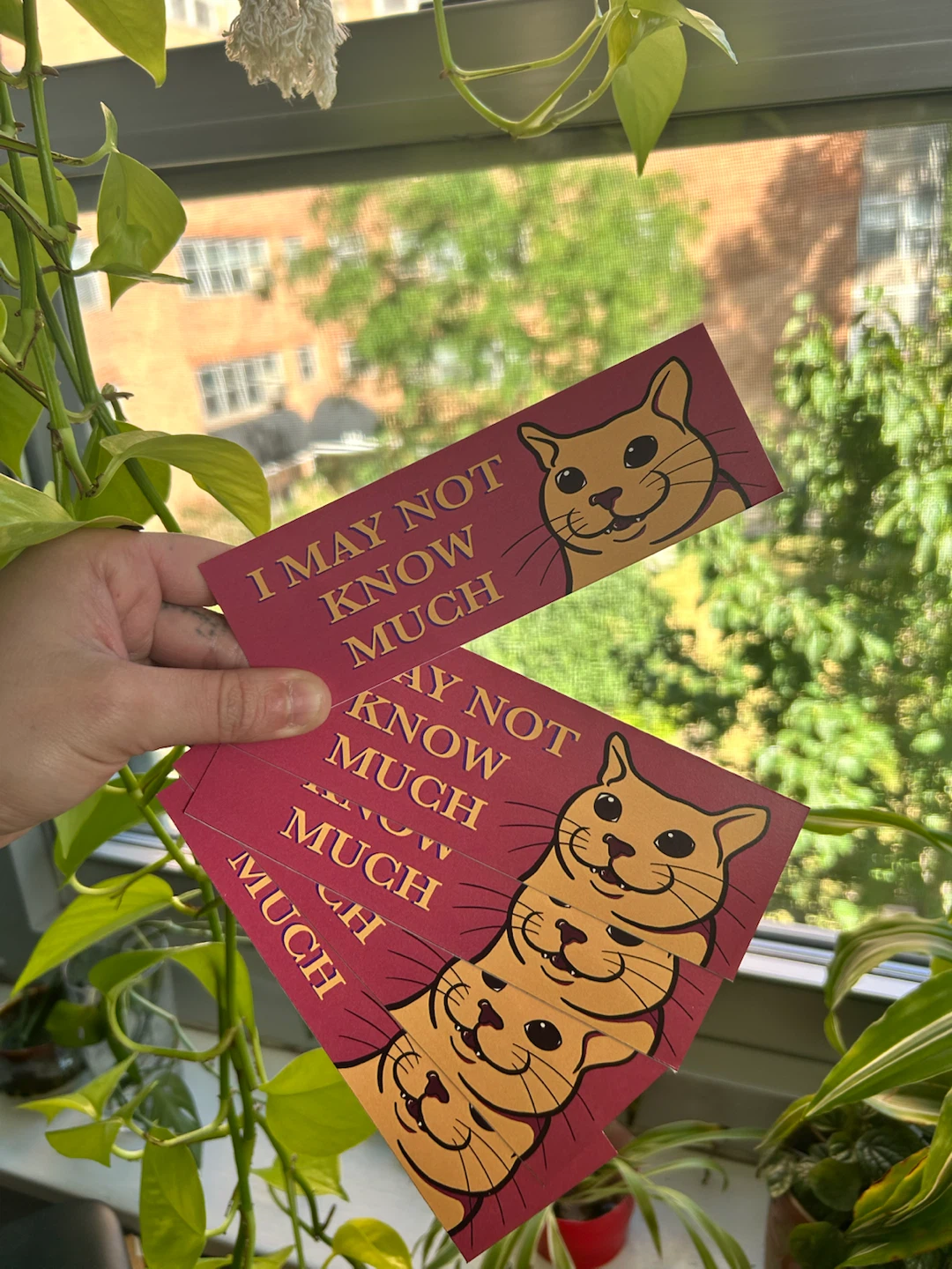 Cat Bookmark - "I May Not Know Much"